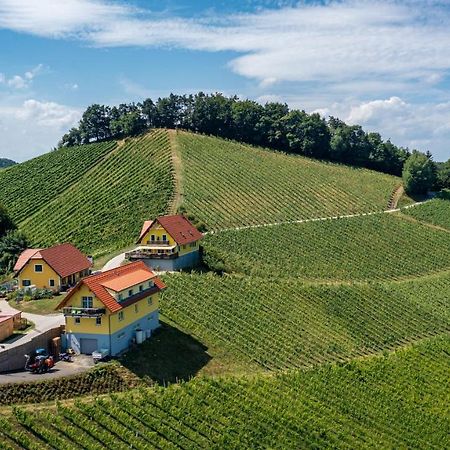 Weingut-Gaestehaus Birnstingl Гамлиц Экстерьер фото