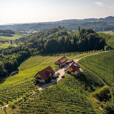 Weingut-Gaestehaus Birnstingl Гамлиц Экстерьер фото