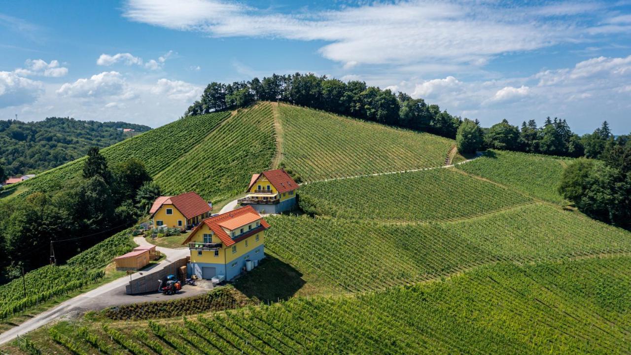 Weingut-Gaestehaus Birnstingl Гамлиц Экстерьер фото