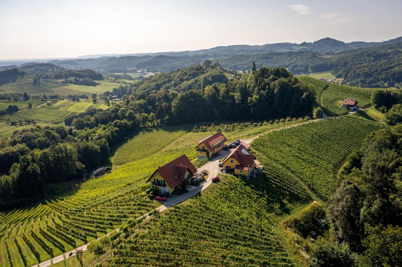 Weingut-Gaestehaus Birnstingl Гамлиц Экстерьер фото